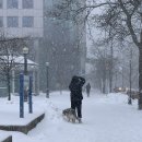 토론토 | 에어캐나다 결항 토론토 체류 후기