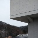 골든트리 네이버블로그