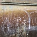 크린셀프세차장 이미지