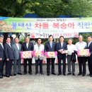차돌마당 이미지