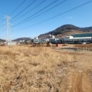 진영식품