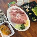 자연산회통영붕장어 이미지