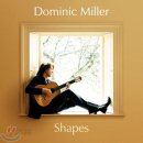 (힐음) 아름다운 선율의 기타 연주곡 (3) Dominic Miller의 Shapes 이미지