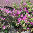 옹포리 경로당 이미지