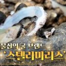 통영물산