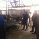 제이목장 이미지