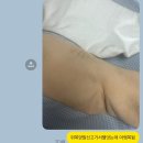 씨드 온 스테이지 -팝뮤직 스테이지 | 2509-4