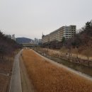 동막천자전거길 네이버블로그