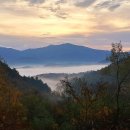 유월의 노래 / 신석정 이미지