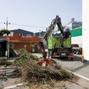 (주)수목조경 이미지