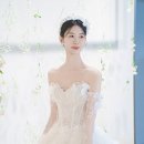 아벨헤어 이미지