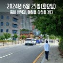 2024년 6월, 박얼서의 생생한 영상 일기 이미지