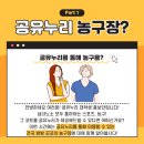 누리공원 농구장 이미지