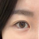 인계동 948 | [속눈썹] 영통역속눈썹 드뮤영 영통마스카라연장 후기