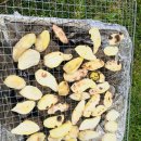 (주)한성호텔 이미지