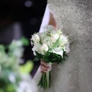 디아시안마트 | 벨라의 본식완료 13. 웨스턴베니비스 신도림_아스타홀 본식 한달 지난 신부의 전체 찐후기_긴내용주의...