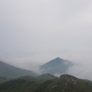 푸른산 이미지
