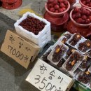 거송숯불