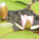 하가리집 이미지