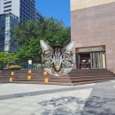 카멜무역 이미지