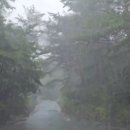 춘양면사무소 Daum카페