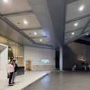 수카스테이 | [24중동] 하얏트리젠시두바이 킹베드 Sea View Club Access Room 후기