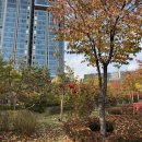 용산-이촌-437 이미지