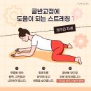 바니짐PT 이미지