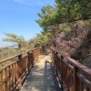 중랑화원 | [산행/용마산(아차산)/용마산역(아차산역)] 용마산 정상에서 봄의 화원을 만나다. 봄 산행 만끽~!