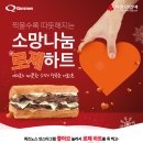 퀴즈노스 조세일보