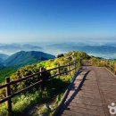 (주)한반도여행사 이미지