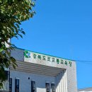 동일자동차운전전문학원 | [동일자동차운전전문학원] 도로주행 교육 3일차, 도로주행 시험 후기&amp;면허증 발급까지