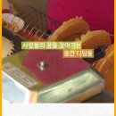 와플대학협동조합 네이버블로그