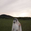 시그널그라피 이미지