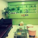 궁락스파 이미지