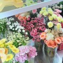 홍대 꽃꽂이 체험 | 꽃바구니 원데이클래스 &#39;델라젬 플라워&#39;상세 후기, 소규모 동호회 체험 추천,솜씨당...