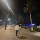 하롱베이 내돈내산(?) 여행 후기 (베트남 맞선여행 번외편)