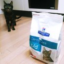 고양이 이빨 치석관리를 위한 힐스 덴탈케어(Hills T/D Dental Care) :: 내 돈 주고 산 사료 솔직한 후기