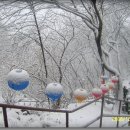 팔공산 중암암 눈꽃산행(2008.12.21) 이미지