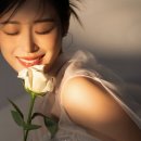 베리하우스 이미지