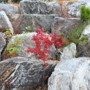 팔각정 공원 이미지