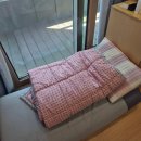 움직이는 방 | 부산 미즈웰 제왕절개 입원 후기 1~3일차｜1인실, 통증, 회복 솔직기록(1)