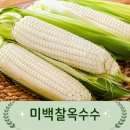 미래유통 - 북구 낙동대로1780번길 36 | 미래유통