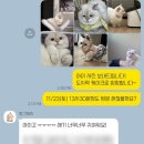 멍그레츄 이미지