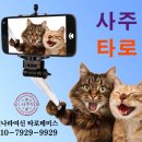 계산1동행정복지센터 | 건강 요가 엉덩이 운동 구름다리자세 계산1동행정복지센터 야간반 현재 강의 중.