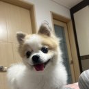 WR(서울특별시 강동구)-[고덕로]-하-26 | 2024 May (어디로 흐르든, 행복의 길로 흐르기를 !)