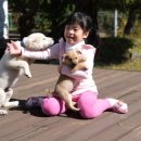 찜이야기 이미지