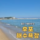 후포 | 경북 울진 여행 후포 해수욕장 및 후포어시장 도매센터 후기