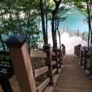 망 조 대 이미지