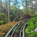[달랏/Da Lat]아이와 가볼만한 곳 '다딴라 폭포 알파인코스터 3호선' 솔직 후기